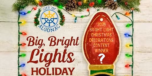 Big, Bright Lights Holiday Decorations Contest 