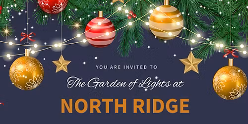 The Garden of Lights at North Ridge