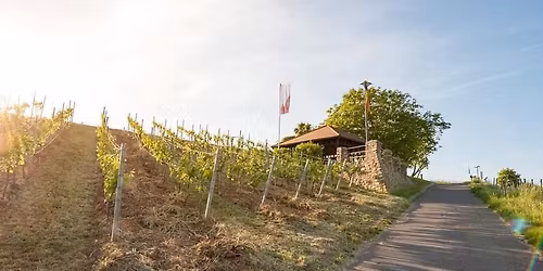 Riesling-Lounge Vol.19