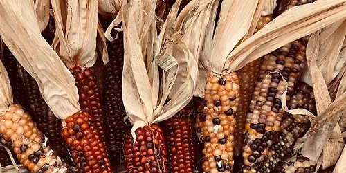 Lowkey Friendsgiving