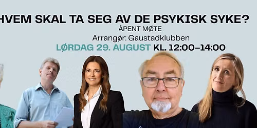 HVEM SKAL TA SEG AV DE PSYKISK SYKE?