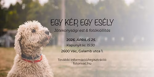 Egy k\u00e9p, egy es\u00e9ly - j\u00f3t\u00e9konys\u00e1gi est \u00e9s fot\u00f3ki\u00e1ll\u00edt\u00e1s