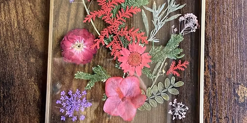 Pretty Pressed Flower Frames at The Main Grape