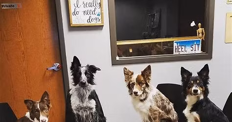 Membership Meeting 1