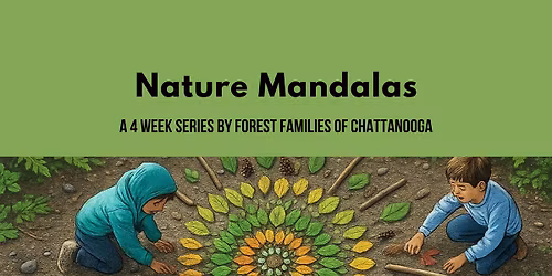 Nature Mandalas Week 3
