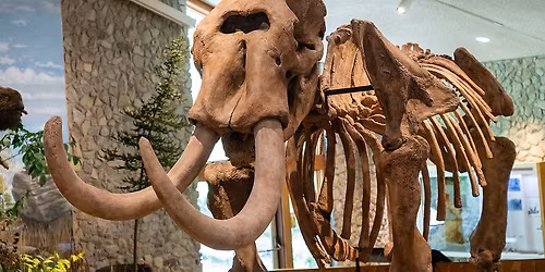 Earth Day Community Event