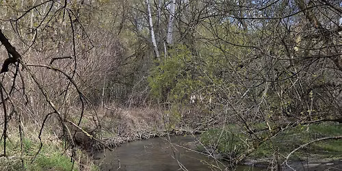 Conservation Youth Corps & Ontario Streams | Stream Restoration Events