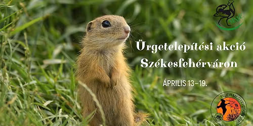 \u00dcrgetelep\u00edt\u00e9si akci\u00f3 Sz\u00e9kesfeh\u00e9rv\u00e1ron 2026. \u00e1prilis