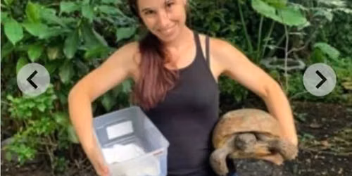 Rescue, Care and Rehabilitation of Reptiles by Kim TItteringen, Swamp Girl Adventures