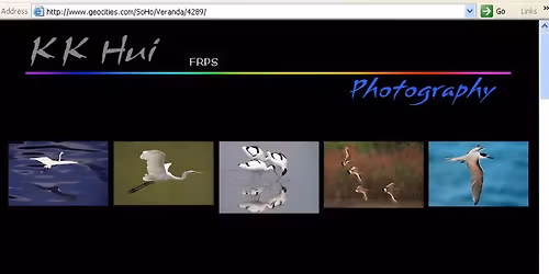 Building Personal Websites