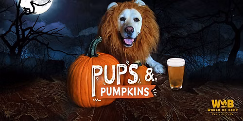 Pups & Pumpkins