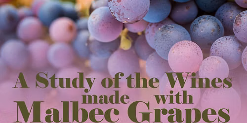 A Study of the Wines made with Malbec Grapes