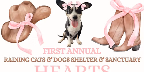 Hearts & Smiles Fundraising Event