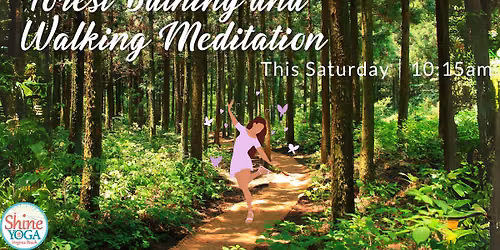 Forest Bathing - Free Community Walk in the Woods