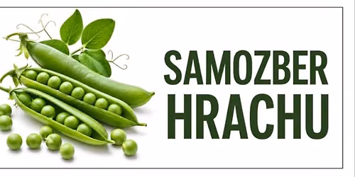 SAMOZBER HRACHU