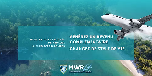 Networking Voyage et  business