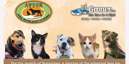 Volunteer Orientation