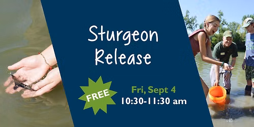 Sturgeon Release
