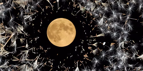 Lisa O'Neill in Manchester