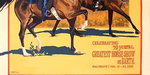 Scottsdale Arabian Horse Show at Westworld of Scottsdale