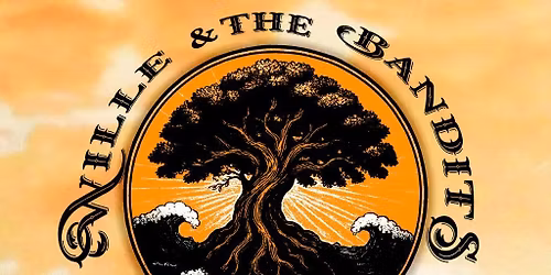 Wille and the Bandits