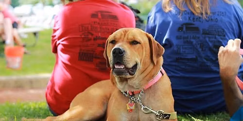 Dog Days of Summer 2026