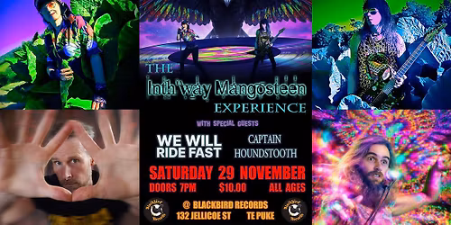 The Inth'way Mangosteen Experience, We Will Ride Fast & Captain Houndstooth LIVE @ Blackbird Records