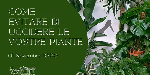 Come evitare di uccidere le vostre piante