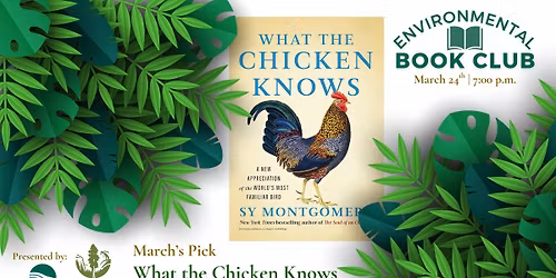 March Book Club: What the Chicken Knows by Sy Montgomery