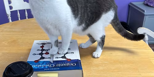 MCAT with Cats - Organic Chemistry Tutoring