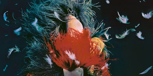 Die Zauberflöte