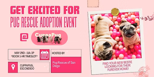 Adoption Event -  CuppaPug Escondido
