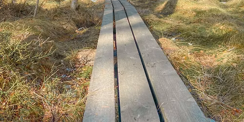 Berg\u00f6 Trailrun 1.7.2026