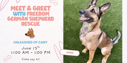 Meet and Greet with Freedom German Shepherd Rescue