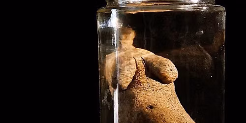 Kino-tours presents: Venus Figurines of Pelje\u0161ac