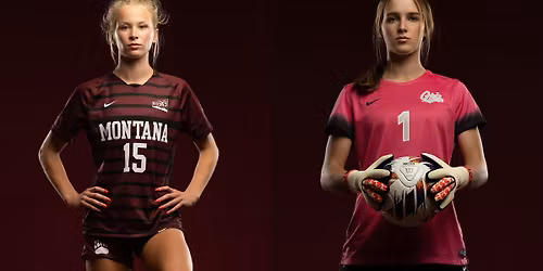 Parking Montana Lady Grizzlies at Weber State Wildcats Womens Basketball