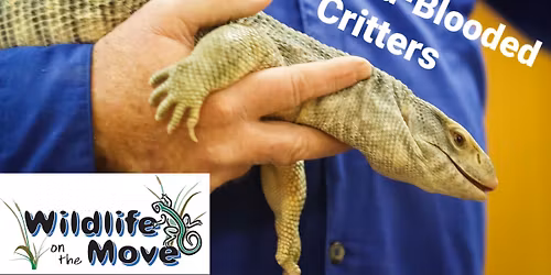 Wildlife On The Move Presents Cool, Cold-Blooded Critters at New Braunfels Public Library (NB, TX)