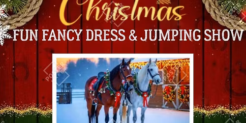 Woodhurst Farm Christmas Fun Show 