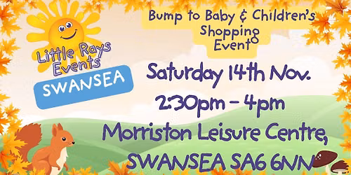 SWANSEA - Saturday 14th November 2026 - Little Rays Bump to Baby & Children's Shopping Event