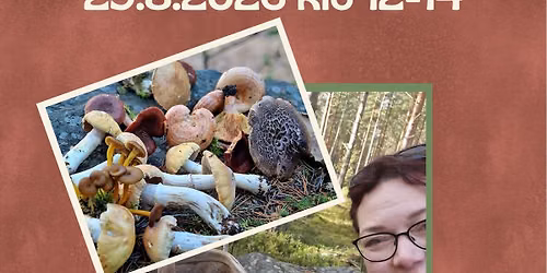 Koko perheen sieniretki Tean kanssa! Hela familjens svamputflykt med Tea!