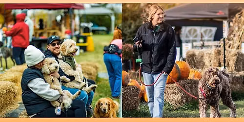 Pets in the Pumpkin Patch\ud83d\udc15