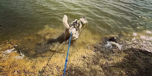 Journ\u00e9e Multi-activit\u00e9 Nord-Sud  suivie d'une Auberge Espagnole au lac de la Bancali\u00e9