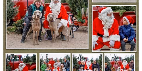 Santa Paws Photo Shoot Day