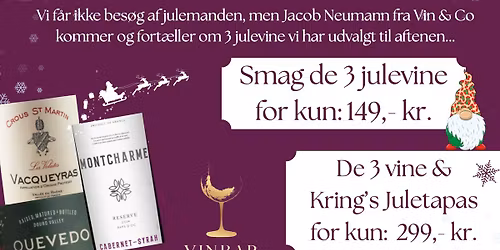 JULENS VINE - Bes\u00f8g af Vin & Co. \ud83e\uddd1\ud83c\udffb\u200d\ud83c\udf84