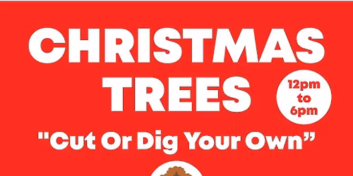 Christmas Tree Dig