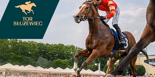 OFIRA | Tor S\u0142u\u017cewiec