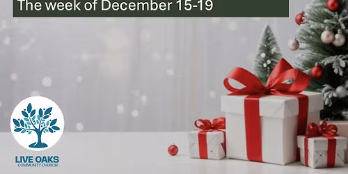 Volunteer Sign Ups : The Christmas Gift 