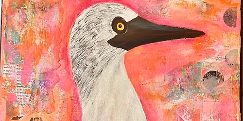 Frida Friday Series - Blue Footed Boobies