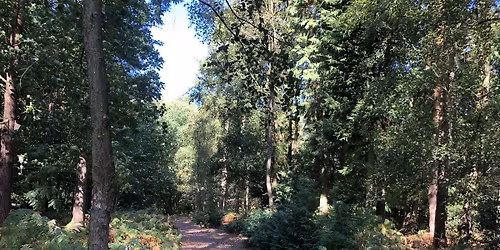 Norfolk, Holt, Wild Food Foraging Walk\/Course