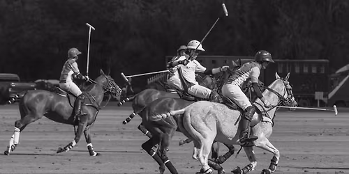 Queen City Polo Cup
